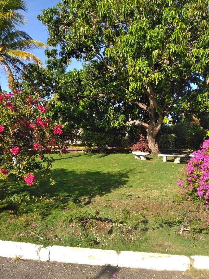 Irresistible View-Mobay Club 1408 Daire Montego Bay Dış mekan fotoğraf