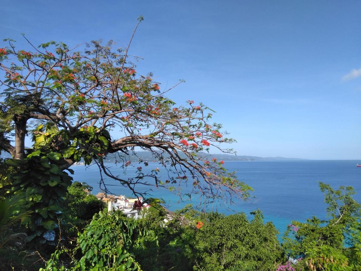Irresistible View-Mobay Club 1408 Daire Montego Bay Dış mekan fotoğraf